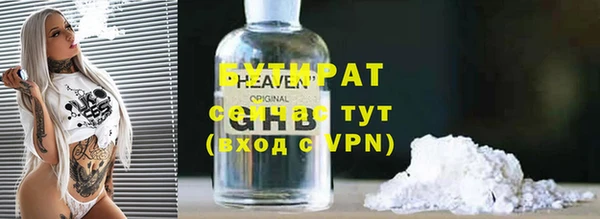 индика Аркадак