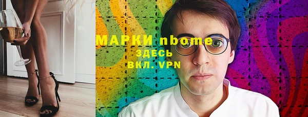 индика Аркадак