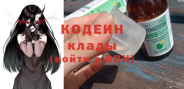 индика Аркадак
