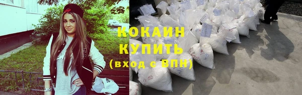 индика Аркадак