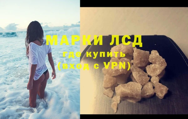 индика Аркадак