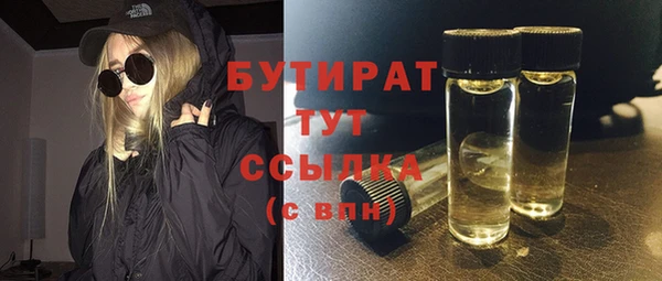индика Аркадак